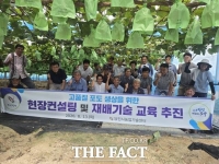  당진시, 고품질 포도 생산 현장 컨설팅·재배기술 교육 추진