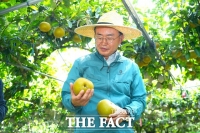  윤병태 나주시장, 배 과수 현장 찾아 애로사항 청취