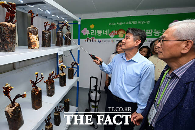 김동욱 도봉구청장이 재배 현장을 둘러본 뒤 녹각영지버섯 배지(培地)에 물을 주고 있다.