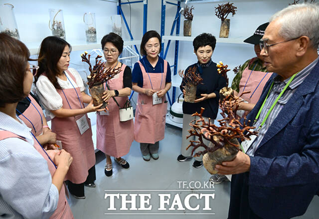 자연사랑능력개발협동조합은 지난 6월 SH공사와 도봉구의 협조를 받아 반지하주택 5곳에서 지역주민들과 함께 버섯 농사를 시작했다.