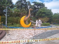  송도해상케이블카 말벌 떼 '습격'…2세·외국인 관광객 등 16명 쏘여