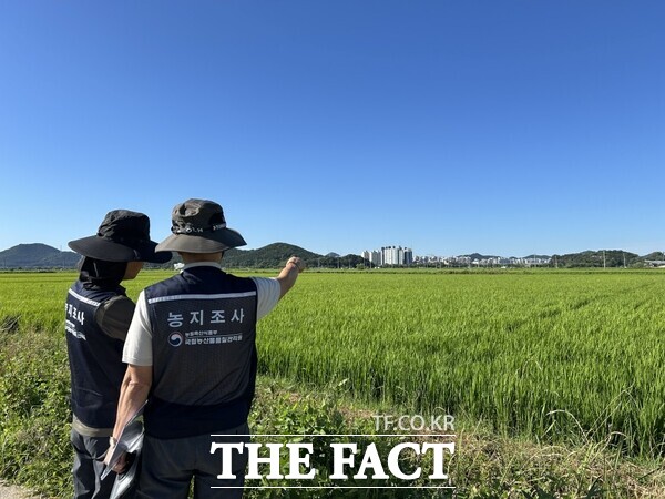 금산농관원 관계자들이 농지 전수조사를 실시하고 있는 모습. /국립농산물품질관리원 충남지원 금산사무소
