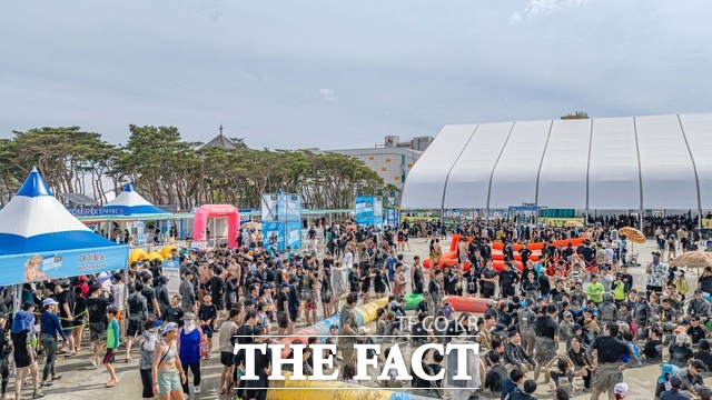 지난 7월 24일부터 8월 9일까지 열린 제29회 보령머드축제를 찾은 관광객들이 머드 체험을 즐기고 있다. /보령시