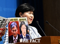  범여권 법사위 