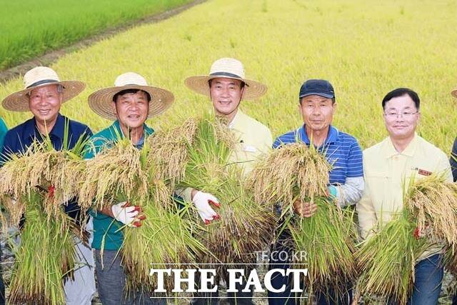 안병윤 예천군수(가운데)와 조생종 쌀 작목반 회원등이 올해 첫 벼 베기를 하면서 수확의 기쁨을 누리고 있다. /예천군