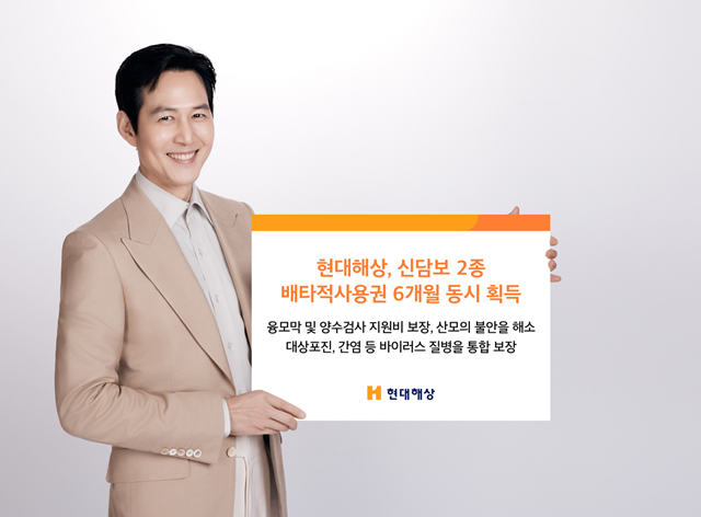 현대해상이 신담보 2종에 대해 배타적사용권 6개월을 획득했다. /현대해상