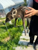  광주보건환경연구원, 동물구조활동 첫 사진집 발간