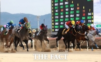  영천경마공원 13일 개장…부산경남 오가는 '순회경마' 시작