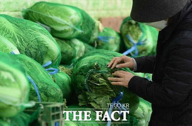 서울시는 오는 9월 30일까지 김치류 식품 제조·가공업소와 반찬가게, 음식점, 전통시장 등 약 9500개소를 대상으로 원산지·위생 특별점검을 실시한다. 사진은 기사의 특정 사실과 무관함. /더팩트 DB
