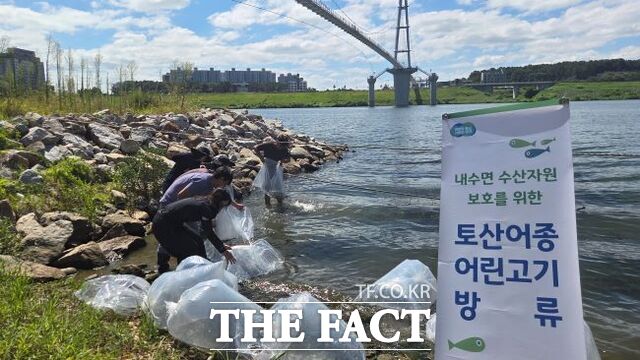 경기도해양수산자원연구소가 도내 강과 하천에 토종 수산생물 수십만 마리를 방류했다. /경기도해양수산자원연구소
