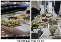 베트남서 생고추·람부탄 4.3톤 불법 수입한 일당 적발