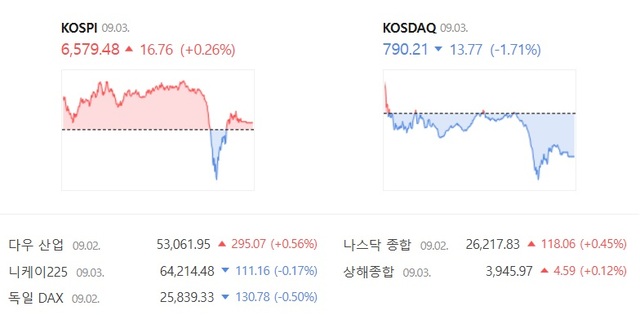 3일 코스닥은 전날보다 1.71% 하락한 790.21에 장을 마감했다. /네이버증권 캡처