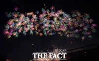  불꽃축제서 모의 총기 소지자 검거…경찰 수사 중