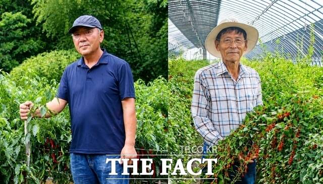 '2026 청양 고추 구기자왕 선발대회'에서 고추왕에 최유선 씨(왼쪽), 구기자왕에 나우찬 씨가 각각 최우수상 수상자로 선정됐다. /청양군