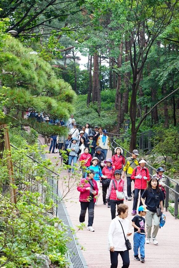 서울 성북구는 오동근린공원에 조성한 '물빛정원'이 제5회 2026 서울특별시 조경상에서 최우수상을 수상했다고 8일 밝혔다. /성북구