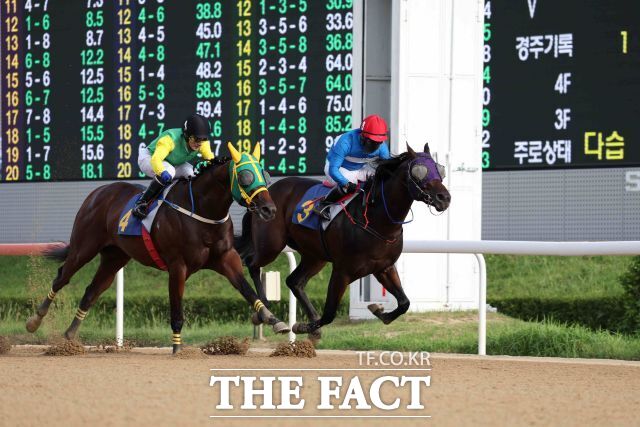 2025년 강서구청장배 우승마 와일드파크(오)와 서승운 기수. /렛츠런파크 부산경남