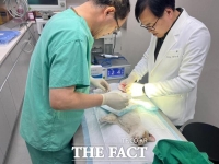  순천시, 유기동물 안락사 줄이고 야생동물 자연 복귀 돕는다