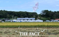  [오늘의 날씨] 출근길 웃옷 준비하세요…아침 최저 서울 19→16도