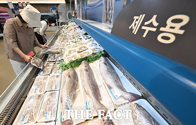 10일 오전 서울 서초구 하나로마트 양재점을 찾은 시민이 장을 보고 있다. /박헌우 기자