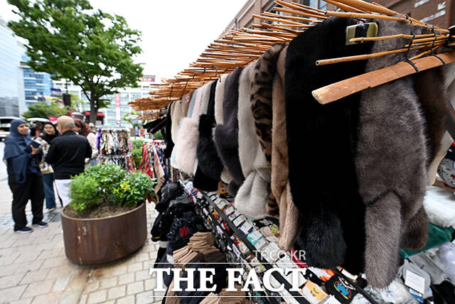 아침 기온이 11도까지 떨어진 10일 오전 서울 중구 명동의 한 의류 판매장 쇼윈도 마네킹이 가을옷을 입고 있다. /박상민 기자