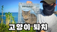  [인플루언서 프리즘] '생태계 관찰하는 재미'…자연 담은 '탐조' 콘텐츠