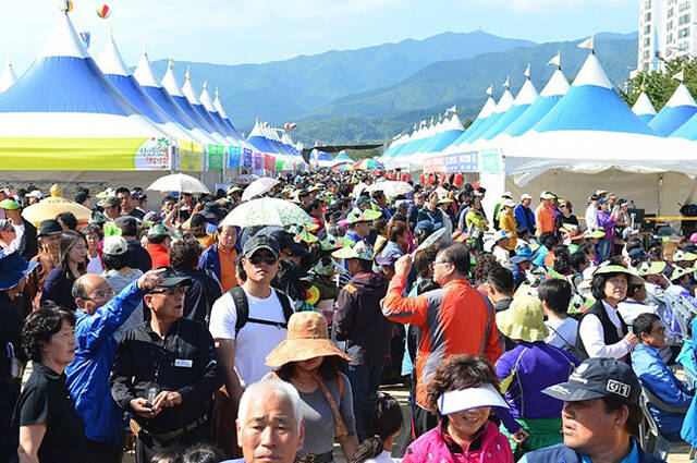 전국에서 풍기 인삼축제를 찾은 관광객들로 북적이고 있다. /김성권 기자