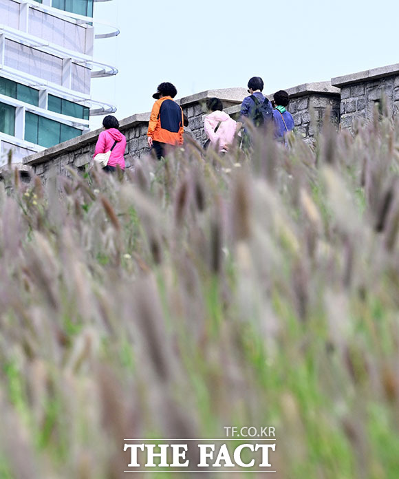 광화문 거리에 핀 수크령 너머로 출근길 시민들이 긴 소매의 옷차림을 하고 있다.