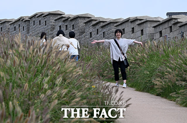광화문 거리에 핀 수크령 너머로 출근길 시민들이 긴 소매의 옷차림을 하고 있다.