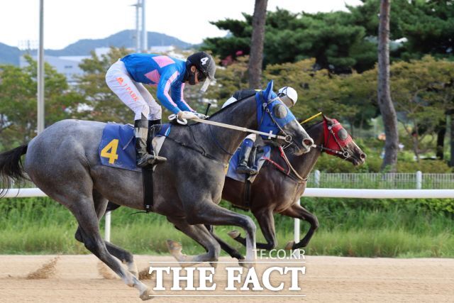 결승선을 통과한 라벤더크라운(4번마)과 박재이 기수. /렛츠런파크 부산경남