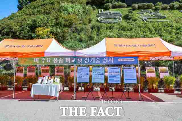 당진시가 15일 '2026년 벼농사 종합평가회'를 개최했다. /당진시