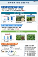  리그난 3배 참깨·오메가3 들깨…'K-기름' 프리미엄 시장 공력