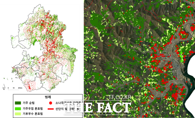 경기도 소나무 재선충 노출과 취약지역 산림 분석 결과(좌), 가평군 일대(우) /경기연구원