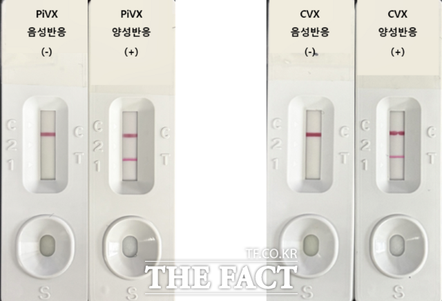 선인장 바이러스 신속진단키트. /경기도농업기술원