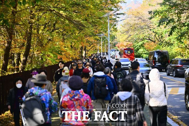 지난해 단풍 관광객들이 설악산을 찾은 모습. /속초시