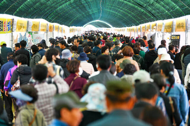 2026 영주 풍기인삼축제가 오는 10월 3일부터 11일까지 9일간 풍기읍 남원천과 풍기인삼공원 일원에서 열린다. 지난해 풍기인삼축제장이 관광객들로 북적이는 모습. /영주시