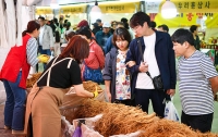  가을 영주, 9일간 '인삼의 힘'에 취한다…풍기인삼축제 10월 3일 개막