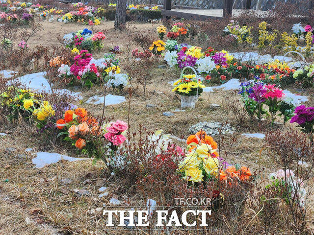 전남광주시는 이번 추석 연휴 기간 북구 망월동 영락공원에서 광주도시공사와 함께 헌화용으로 사용되는 플라스틱 조화 반입을 줄이기 우한 캠페인을 펼친다. /뉴시스