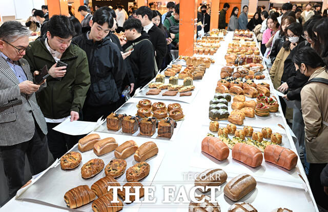 문제는 일부 베이커리에서 대한민국명장과 혼동할 수 있는 표현을 사용해도 현행법상 유사 명칭에 해당되지 않아 사실상 제재가 어렵다는 것이다. /이새롬 기자
