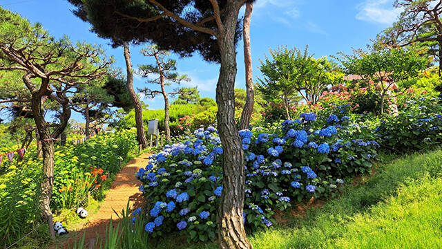 '예술과 문화를 담은 정원' 충청북도 청주시 공간공원./산림청