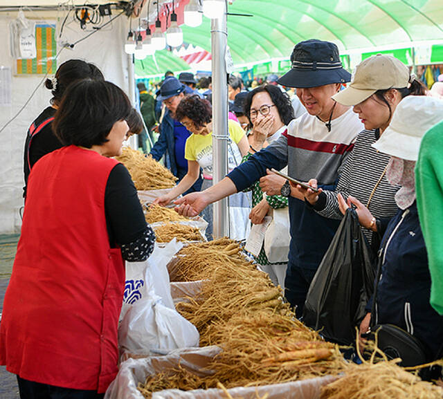 2025 경북영주 풍기인삼축제 행사장이 풍기인삼을 구매하려는 인파로 북적이고 있다. /김성권 기자