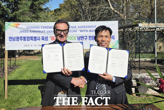 전남광주농업기술원이 최근 자체 개발한 골드키위 품종 해금을 글로벌 농식품 기업과 생산 유통 판매 계약을 체결하고 뉴질랜드 등 지구 남반구 시장 공략에 나선다. /전남광주농기원