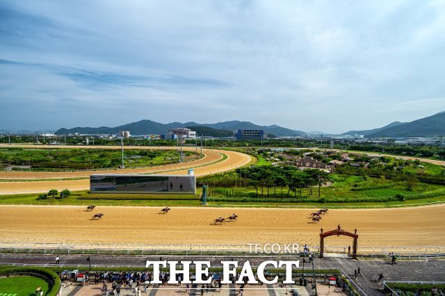렛츠런파크 부산경남 경마장 전경. /렛츠런파크 부산경남
