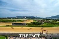  렛츠런파크 부경, 10월 45개 경주…'가을 대상경주' 본격화