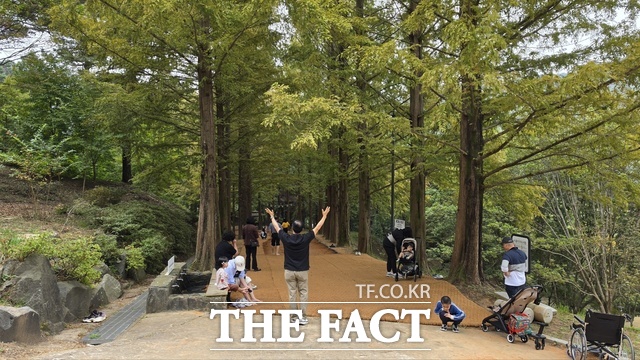 금강수목원 메타길을 찾은 방문객들이 산책을 즐기고 있다. /충남도