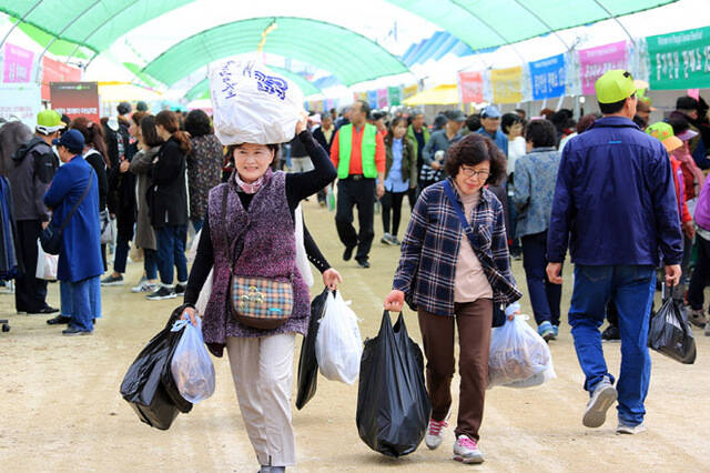 ‘2026 영주 풍기인삼축제’가 오는 3일부터 11일까지 9일간 풍기읍 남원천과 풍기인삼공원 일원에서 열린다. 지닌헤 행사에서 인삼을 대량으로 구입한 관광객들 /영주시