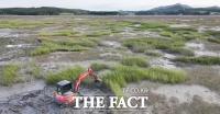  서산시, 가로림만 생태계 보전 '갯끈풀 제거' 추진