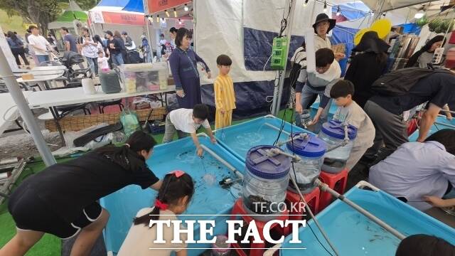 4일 제72회 백제문화제가 공주시 신관공원에서 열린 가운데 어린이 관람객들이 물고기체험을 하고 있다. /김형중 기자