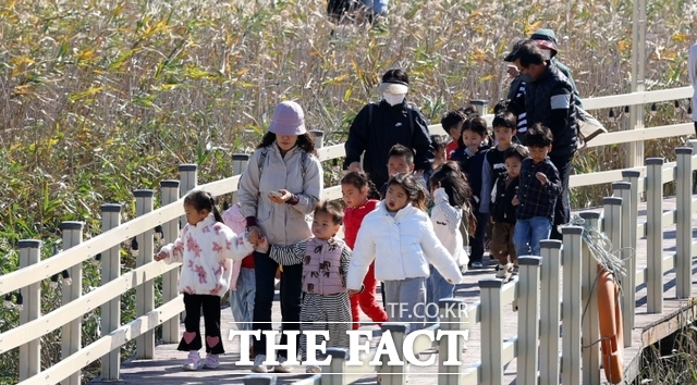 전남광주시 강진군 갈대밭 /강진군