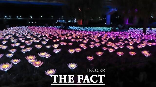 공주시 신광공원에 설치된 LED 꽃밭이 관광객들의 눈길을 멈추게 하고 있다. /김형중 기자
