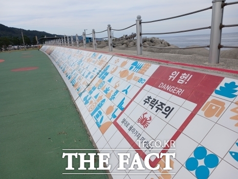 영덕군 강구항 해파랑공원의 소규모 방파제 위 폭 40cm 공간은 출입 금지 구역이지만 상당수의 관광객이 아슬아슬한 곡예 산책을 하고 있다. /박진홍 기자